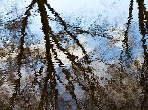 Reflectie van bomen
