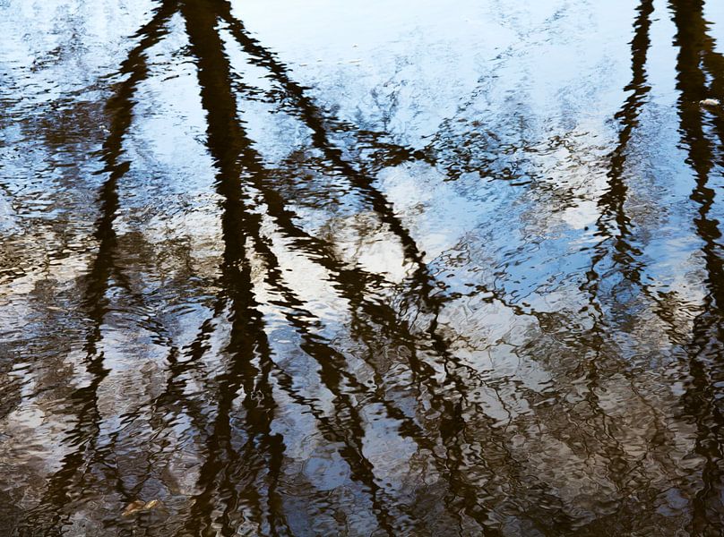 Reflectie van bomen van Bianca Wisseloo
