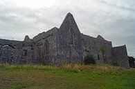 Ruinen des ehemaligen Franziskanerklosters, Askeaton am Fluss Deel von Babetts Bildergalerie Miniaturansicht