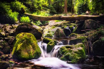 Ruisseau de la forêt de Harzwald sur Tim Lee Williams