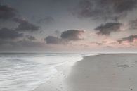 Nordseestrand von AGAMI Photo Agency Miniaturansicht