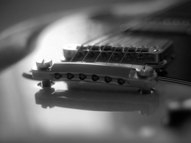 Zwart Wit Gibson SG van Martijn Wit