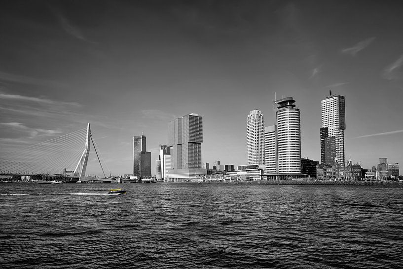 Panorama van de stad Rotterdam en de Erasmusbrug over de Nieuwe Maas van Tjeerd Kruse