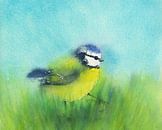 Ochtendwandeling van Karen Kaspar thumbnail