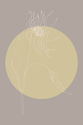 Japandi. Boho botanische bloem in goud en taupe nr. 6