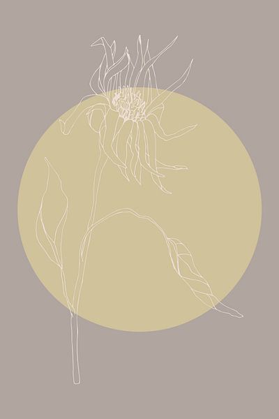 Japandi. Fleur botanique boho en or et taupe no. 6 par Dina Dankers