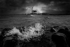 Horse of Marken by Bas Handels