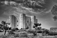 Das Castel del Monte, die Krone Apuliens von Berthold Werner Miniaturansicht