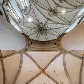 Plafond Grote Kerk Dordrecht van Ilse de Deugd