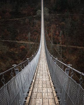 Geierlay suspension bridge Germany