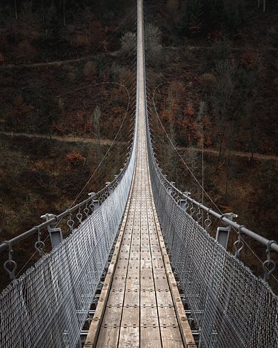 Hängebrücke Geierlay Deutschland von Jolanda Aalbers