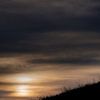 Rode vos bij een zonsondergang van Pim Leijen