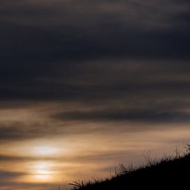 Rode vos bij een zonsondergang van Pim Leijen