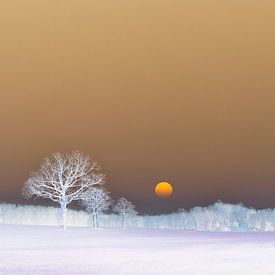Ein kalter Sonnenaufgang von Corinne Welp