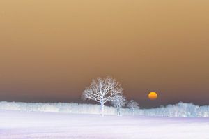 Un lever de soleil froid