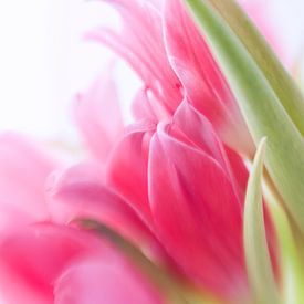 Bosje tulpen von Savo Fotografie