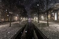 Winter haven Zeewolde van Robinotof thumbnail