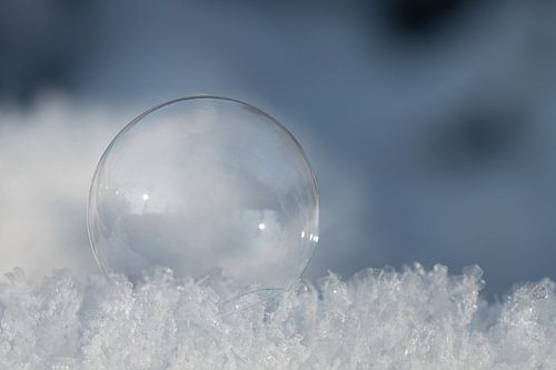 Soap bubbles in winter on snow