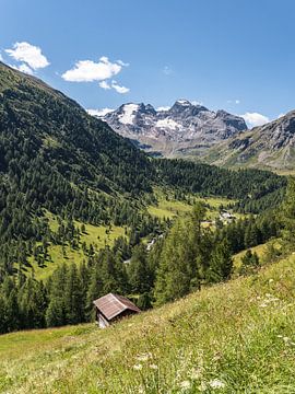 Wandelen in het Val Viola bij Bormio