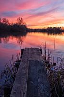 Rietplas, Emmen