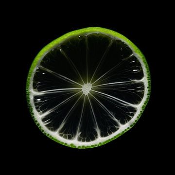 Transparent lime by Karina Brouwer
