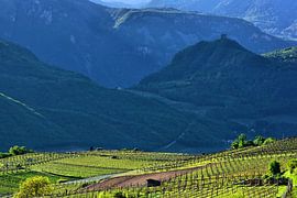 Morning has broken von Gisela Scheffbuch