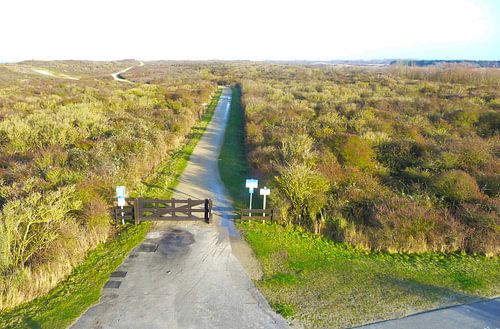 Uitzicht over pad door duinlandschap
