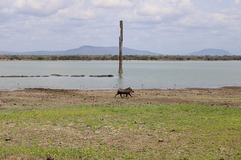 beaux paysages en tanzanie par Ramon Beekelaar