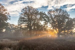 Sonnenaufgang in Westerwolde