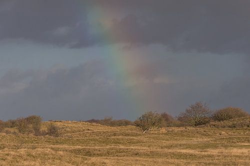 Landschap