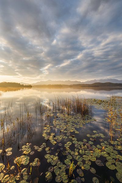 Staffelsee II von Rainer Mirau