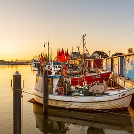 Werner Reins photo de profil