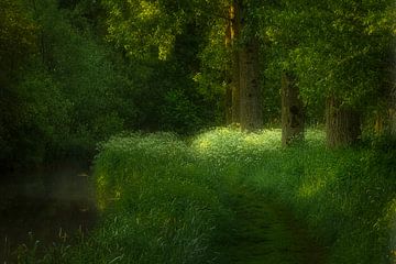 Dommel walk by jowan iven