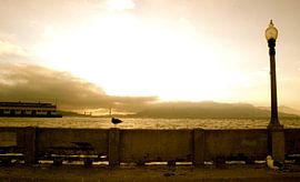 Golden Gate 2, San Francisco, California by Samantha Phung