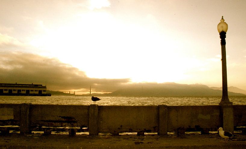 Golden Gate 2, San Francisco, Californie par Samantha Phung