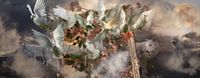 Columbam Paradisi van THNV-Media thumbnail