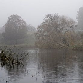 Mist in de Waterleidingduinen van KCleBlanc Photography