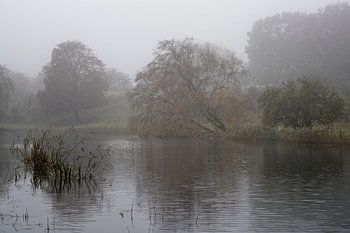 Mist in de Waterleidingduinen