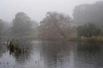 Nebel in den Dünen der Wasserversorgung von KCleBlanc Photography