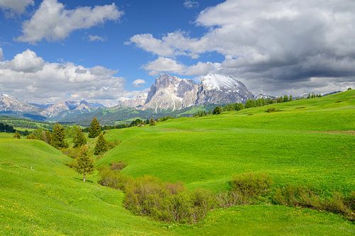 Alpe di Siusi panorama in de Dolomieten tijdens de lente