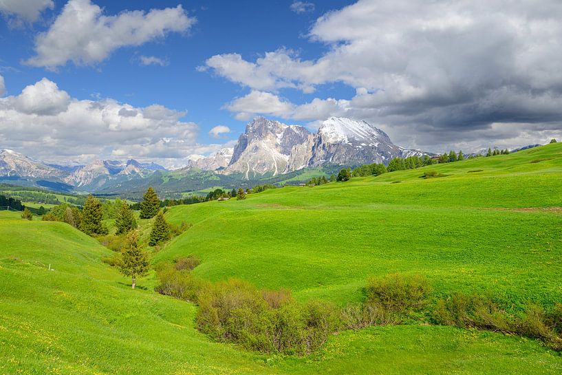 Seiseralm-Panorama in den Dolomiten im Frühling von Sjoerd van der Wal Fotografie