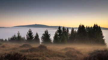 Brouillard matinal dans le Harz sur Steffen Henze