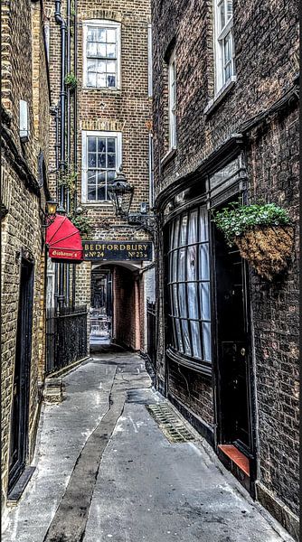 Goodwin's Court in London - das wahre Leben in der Diagon Alley, London von Esmeralda de Nooijer