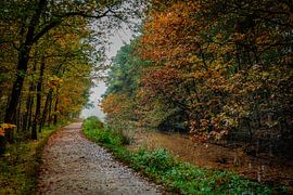 Mastbos Breda sur I Love Breda