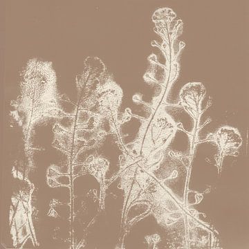 Witte bloemen. Japandi botanische kunst in bruin en wit. van Dina Dankers