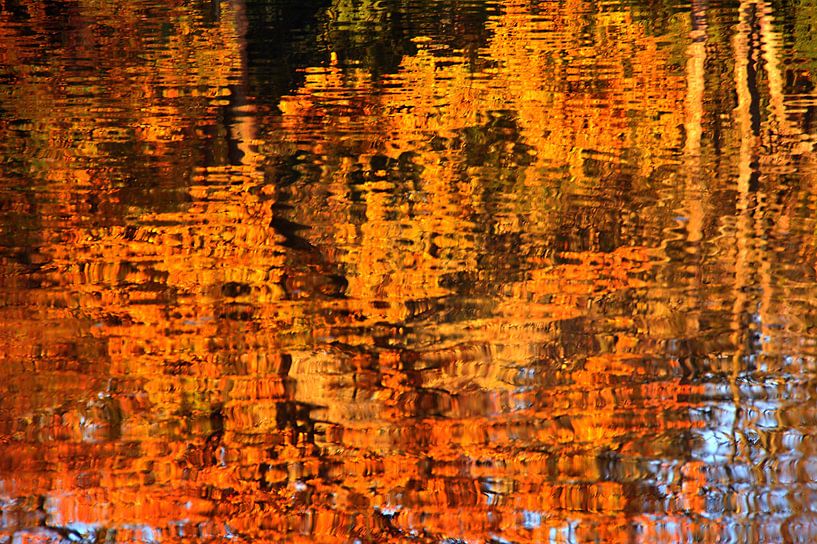 herfstspiegeling van Edgar Schermaul