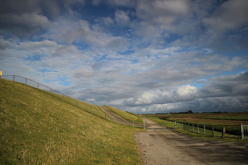 Westpolder langs de diek by Jasper van Dijken
