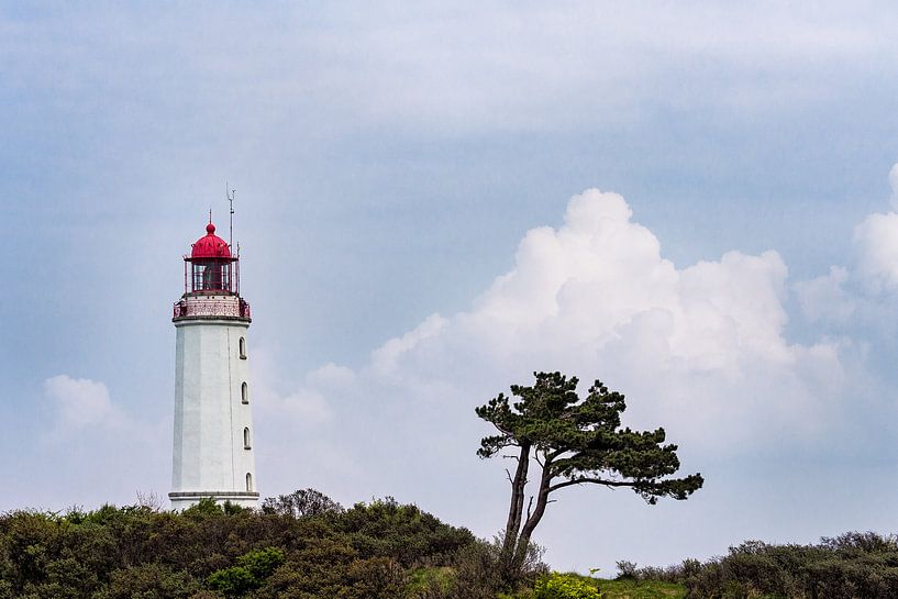 Leuchtturm Dornbusch auf Hiddensee van Rico Ködder
