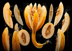 Cucumis melo (Honigmelone)