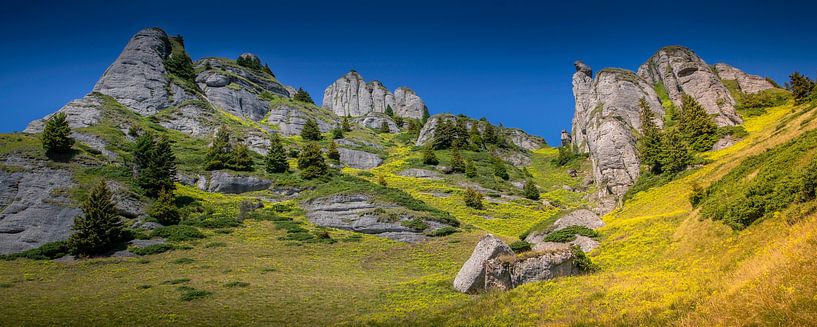 Montagnes Ciucas en Roumanie par Antwan Janssen